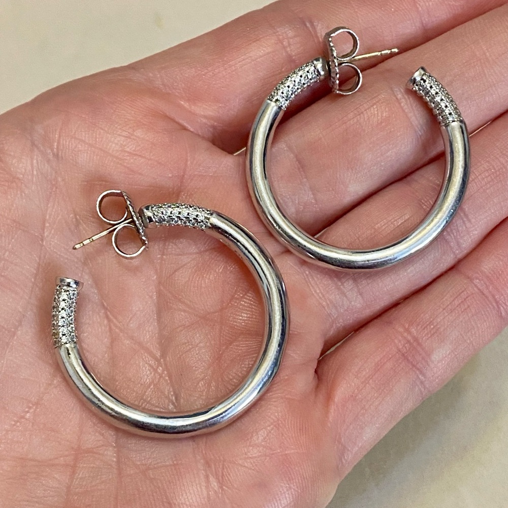 Freida Rothman Sterling Silver Radiance Pave Crystal Hoop Earrings